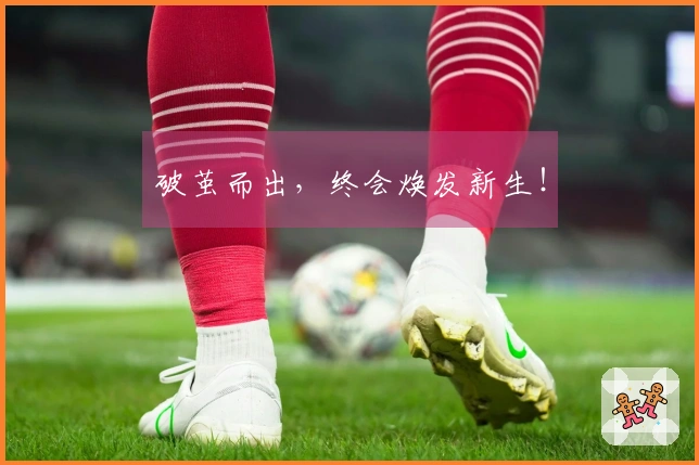 破茧而出，终会焕发新生！