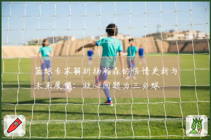 篮球专家解析杨瀚森的伤情更新与未来展望：核心问题为三分球